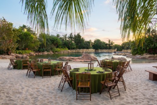 The lagoon over at Discovery Cove next door is the place to relax. | Suites at Staybridge Suites Orlando at SeaWorld